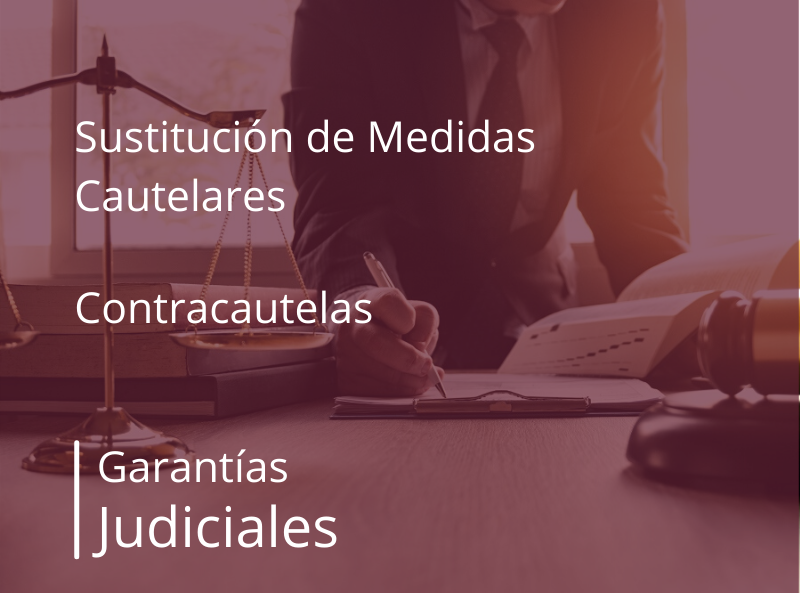 Web Judiciales 2